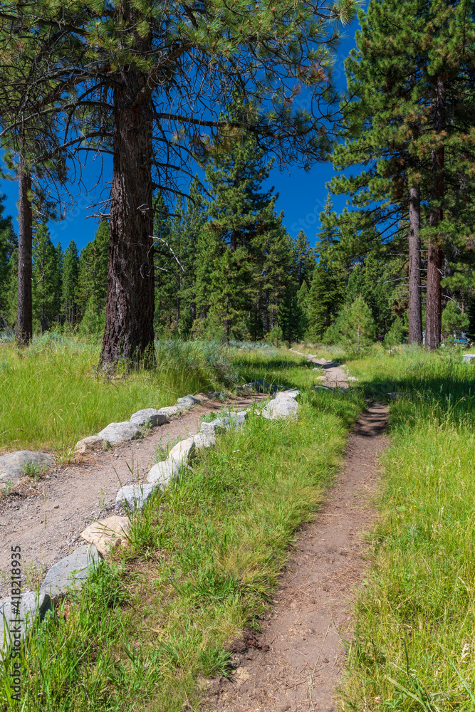 2 paths, one rock lined, of the Rainbow Trail, heading to Fallen Leaf Lake, through a forest, Lake Tahoe, California.