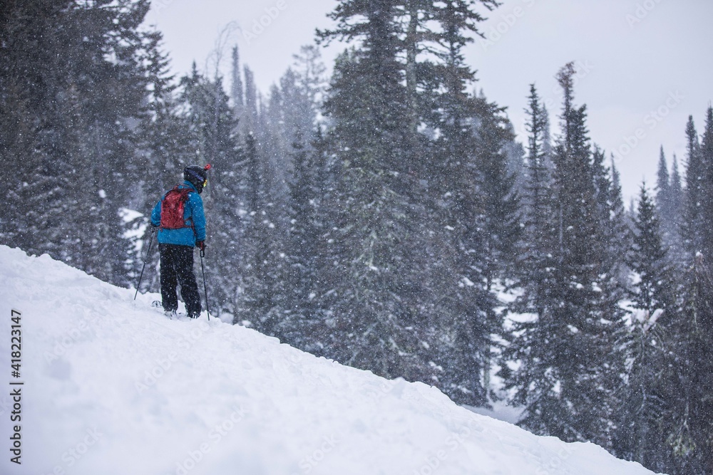 Skiier in snow