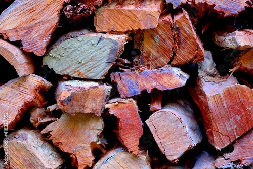 Wood-texture background in the mountains of Taiwan. photo