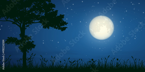 starry night and full moon