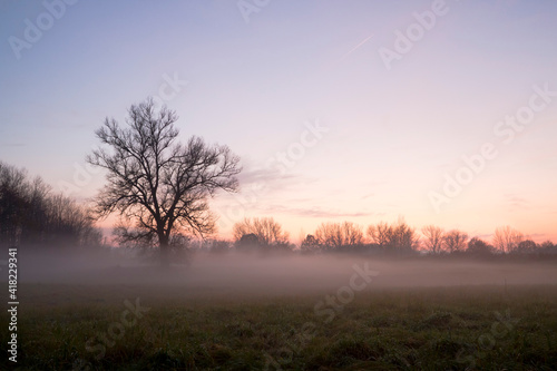 Foggy Evening Near The Elbe River