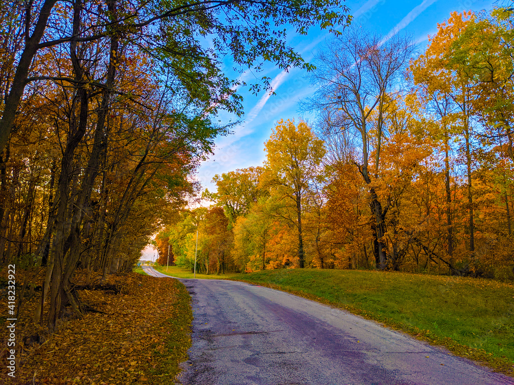 Fototapeta premium autumn in the park