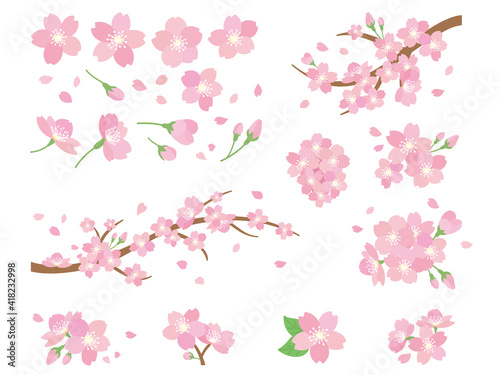 桜のイラスト　さくら　サクラ　春