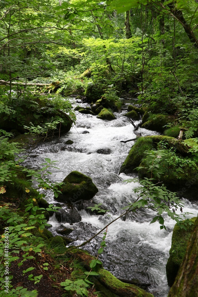 Oirase Mountain Stream, Aomori, Japan Oirase Mountain Stream, Aomori, Japan
