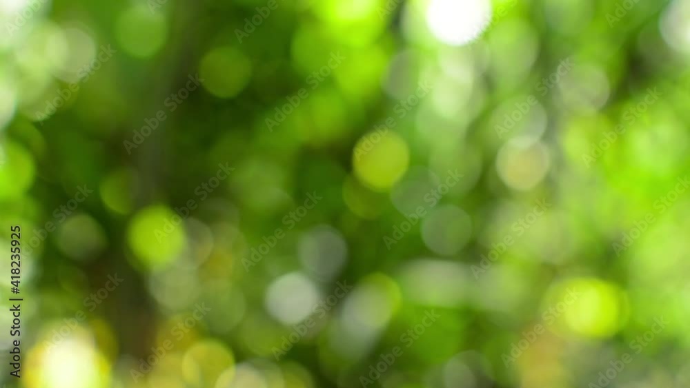 Beautiful green vibrant natural video bokeh abstract summer background. Defocused leaves in tropical forest and soft sunlight illuminating through the branches. Beautiful green vibrant natural video bokeh abstract summer background. Defocused leaves in tropical forest and soft sunlight illuminating through the branches.
