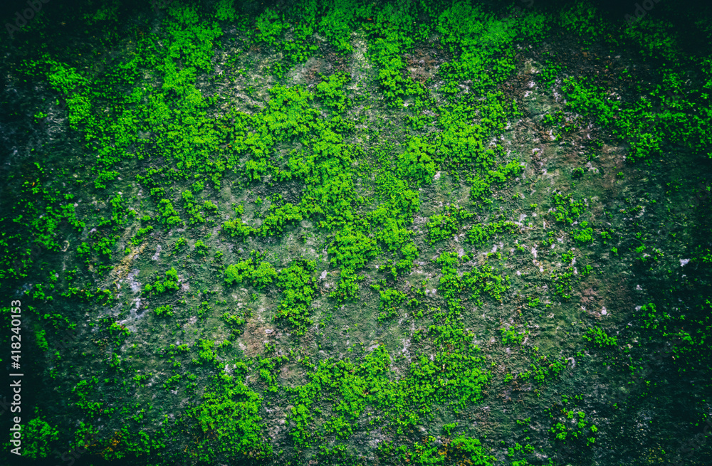 Grunge old texture Scratched Grunge old texture Scratched