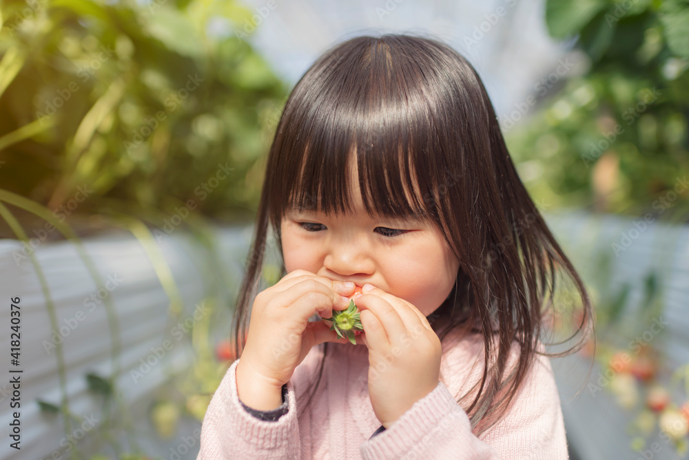 子供といちご狩りにお出かけ 子供といちご狩りにお出かけ