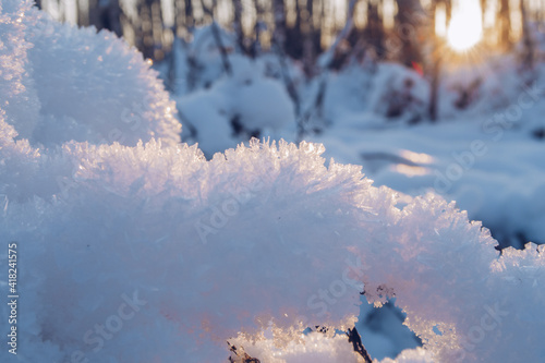 Crystal snow closeup. Snow in the sunset. Cold frosty day blurry background with snow texture in winter sun beams.