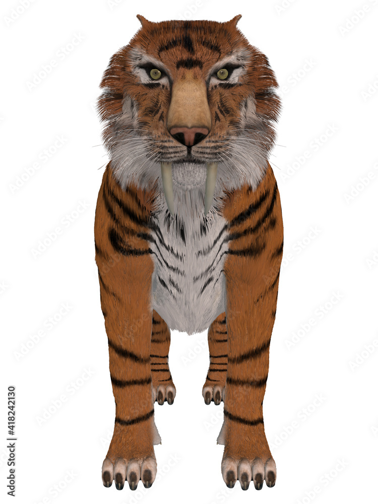 Obraz premium 3d illustration of a saber tooth tiger