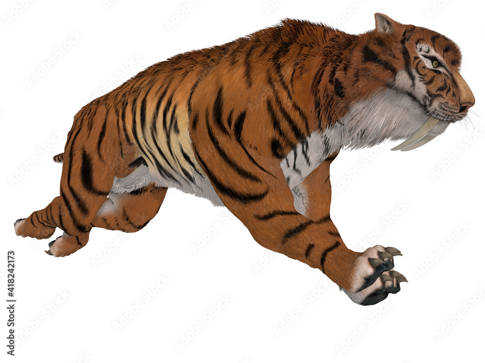 Obraz premium 3d illustration of a saber tooth tiger