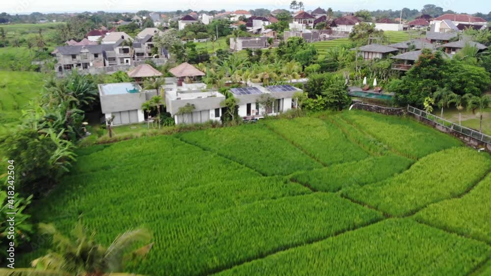 Top down view of beautiful paddy fields with fresh green leaves in Bali, Indonesia. Shot in 4k resolution from a drone flying forwards Top down view of beautiful paddy fields with fresh green leaves in Bali, Indonesia. Shot in 4k resolution from a drone flying forwards