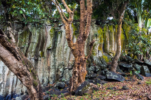 Rock and trees on Mauritius Island near Rotchester Falls photo