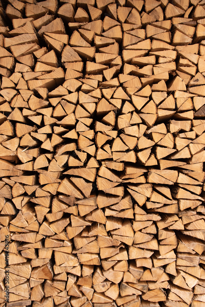 front portrait of Wood stacked in a pile front portrait of Wood stacked in a pile