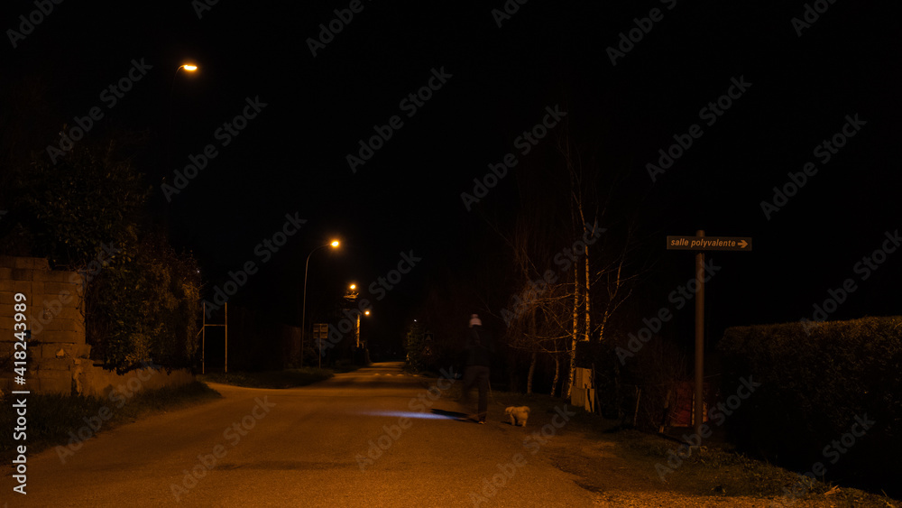night walk of the pet in the street of a village