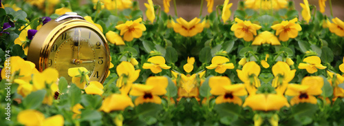 zeitumstellung  uhr blumen panoramabild