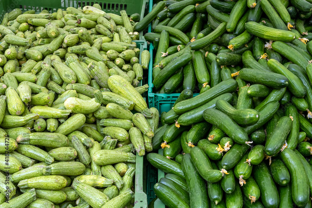 Cucumber and pickles for sale at a market