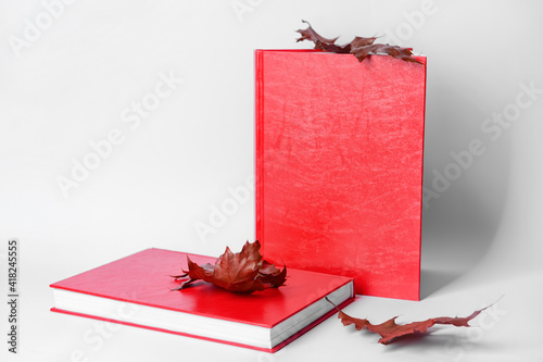 Red books with autumn leave...