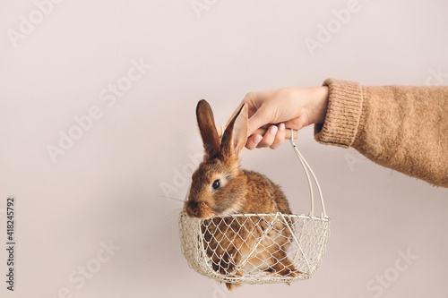 Hand holding basket with cu...