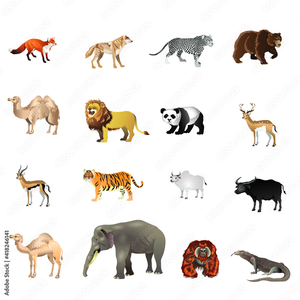 Obraz premium Asian and Europe Wild Animal - Vector