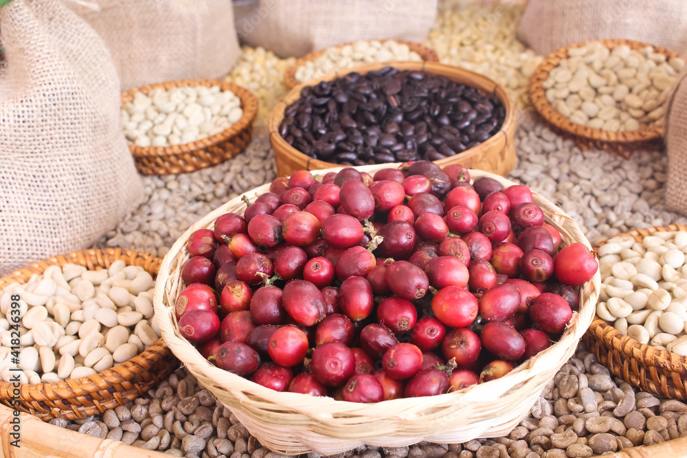 Coffee bean  in basket , fruit set on background