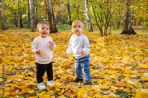 two adorable toddlers in an autumn park in yellow leaves