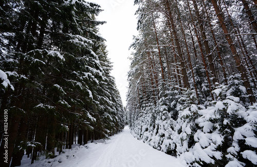 Winterlandschaft in Neuhof - Waldviertel - Niederösterreich
 photo