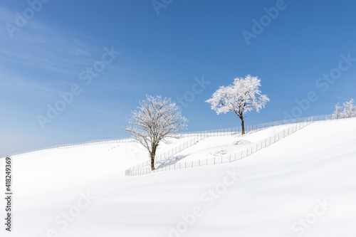 Morning snow landscape in winter mountains