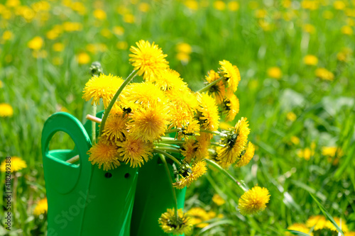 Wallpaper Mural Rubber boots with flowers in green meadow Torontodigital.ca
