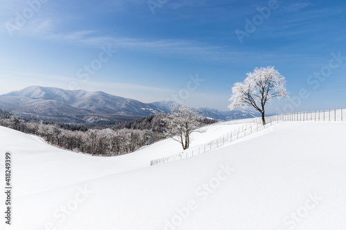 Morning snow landscape in winter mountains