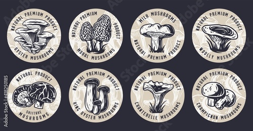 Set of mushrooms for food industry. Mushroom elements for vegetarian packaging label. Fungus collection for gourmet menu design with boletus, truffle and champignons
