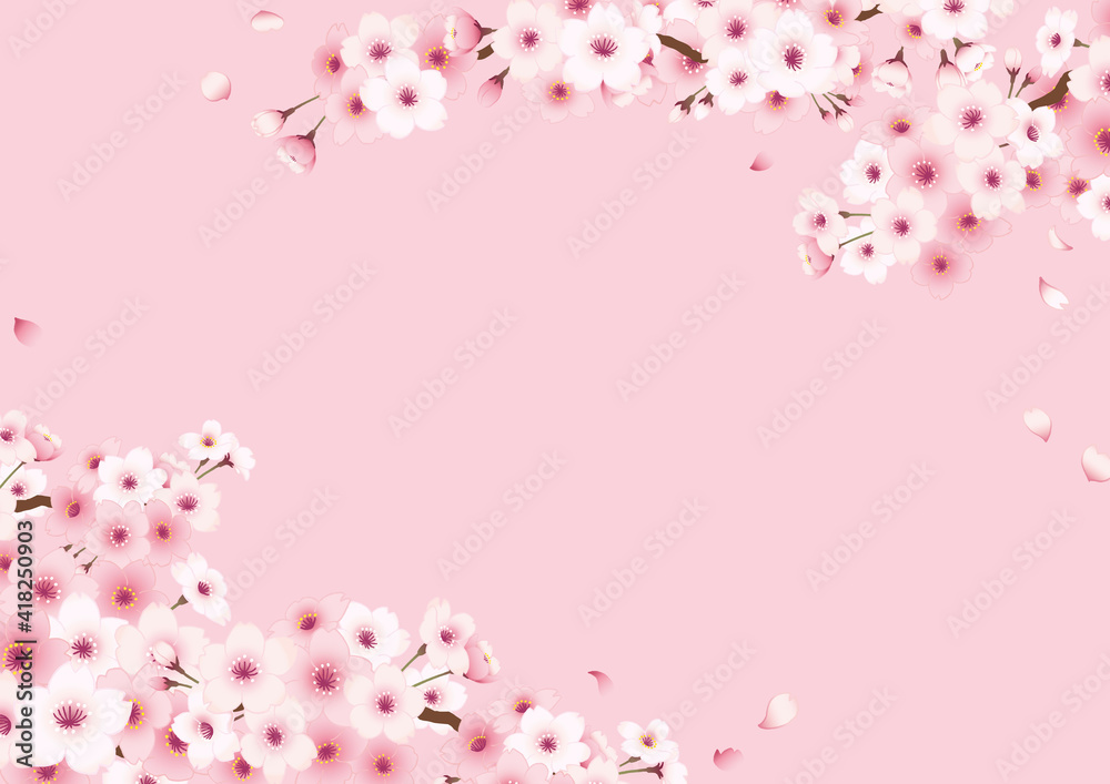 桜の手描きフレーム　横　ピンク背景　右上左下