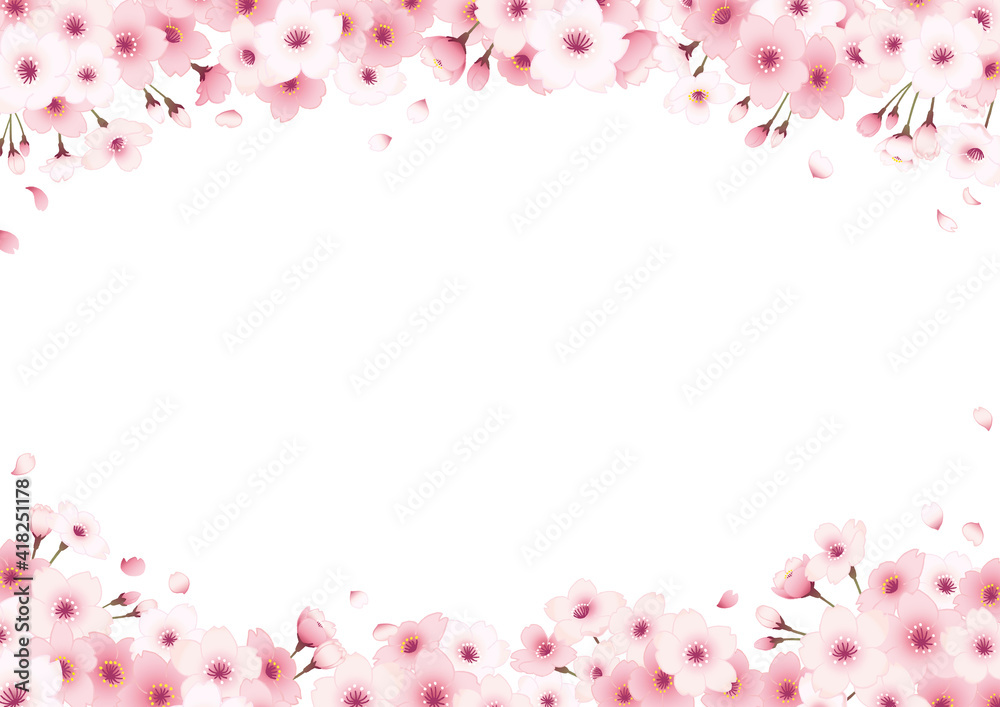 桜の手描きフレーム　横　白バック 上下