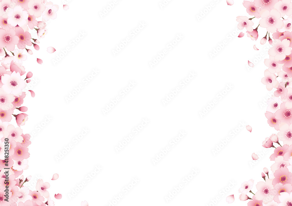 桜の手描きフレーム　横　白バック 左右