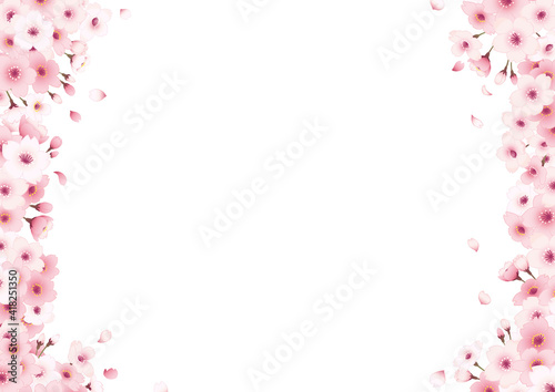 桜の手描きフレーム 横 白バック 左右