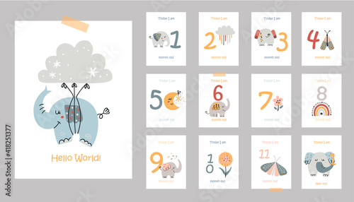Monthly baby cards with cute elephants © nafanya241