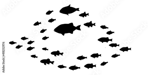 Silhouettes of groups of fishes on white. Vector