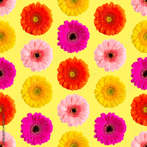 Seamless pattern of colorful gerbera on a yellow. Germini photo converted into a seamless pattern