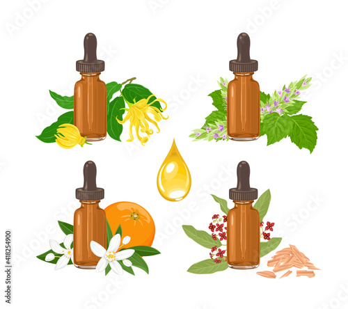 Set of essential oil in amber glass dropper bottle isolated on white. Sandalwood and fragrant flowers of patchouli, Ylang-ylang, Neroli. Vector illustration in cartoon flat style.