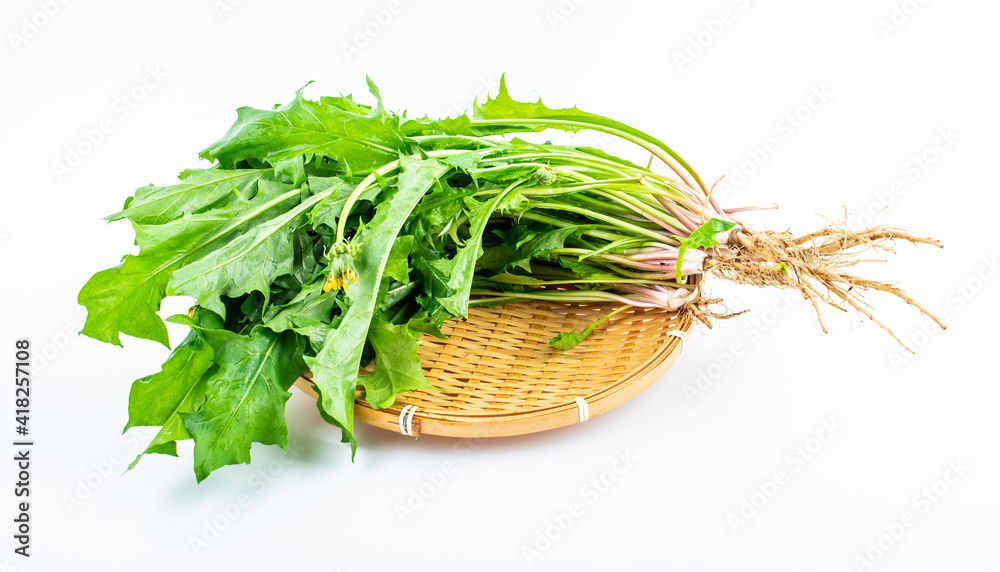 Spring seasonal wild vegetable dandelion Spring seasonal wild vegetable dandelion