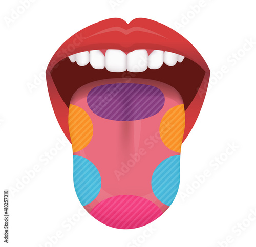 Taste areas of human tongue vector illustration