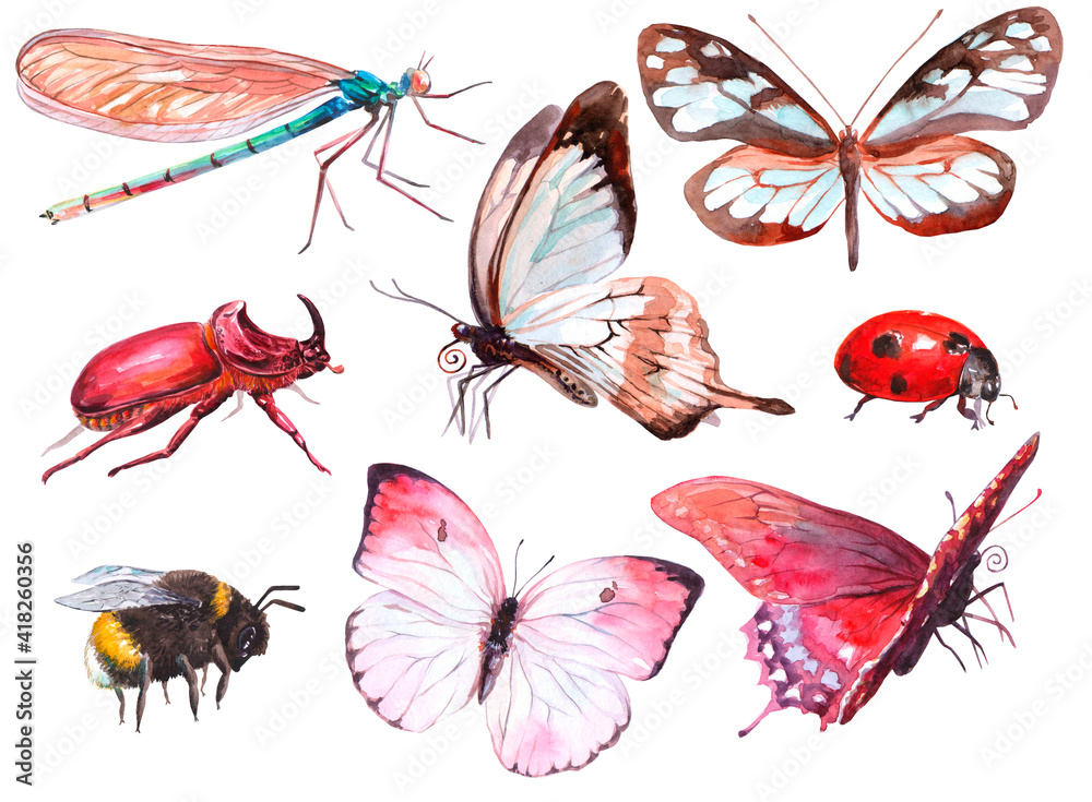 set of insects. clipart. watercolor set of insects. clipart. watercolor
