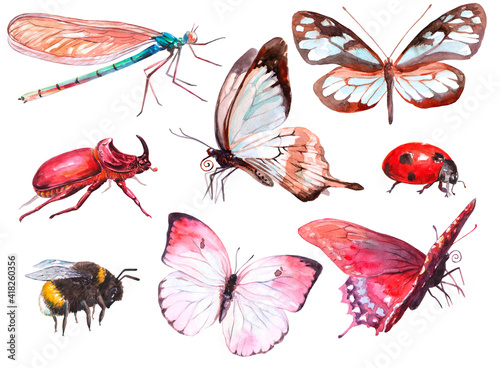 set of insects. clipart. watercolor