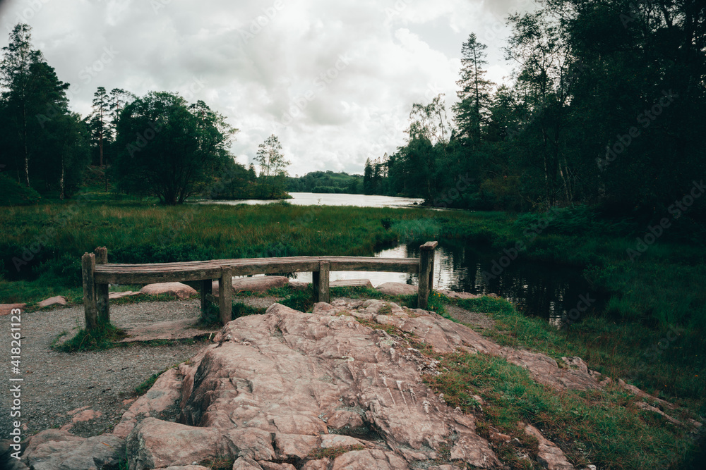Bench in the Early Morning Forest with Marsh Land visible and a moody sky Bench in the Early Morning Forest with Marsh Land visible and a moody sky