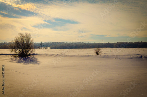 Fototapeta Naklejka Na Ścianę i Meble -  Snowy field and trees. Blue morning sky.