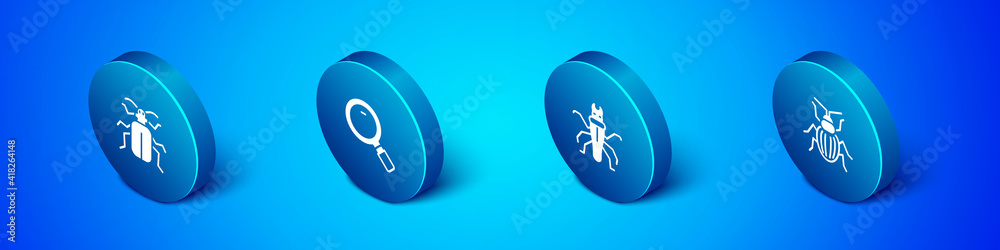 Set Isometric Chafer beetle, Termite, and Magnifying glass icon. Vector. Set Isometric Chafer beetle, Termite, and Magnifying glass icon. Vector.