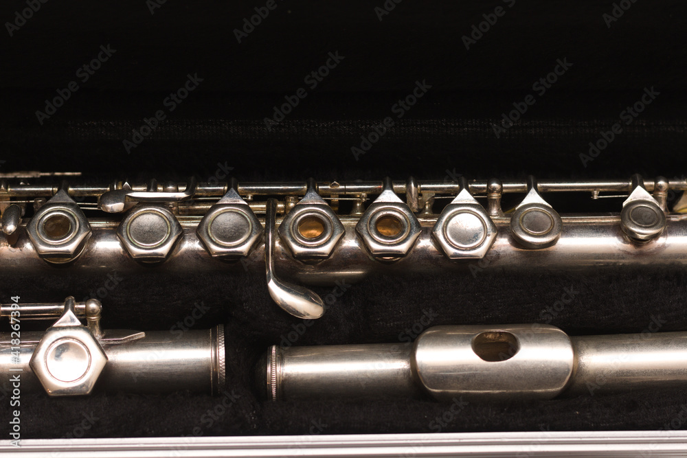 Naklejka premium Open case with a disassembled flute lying in it
