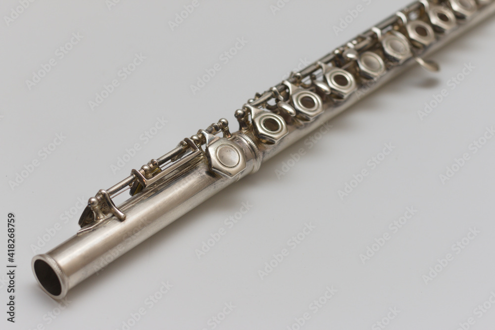 Fototapeta premium A distant perspective view of a wind instrument
