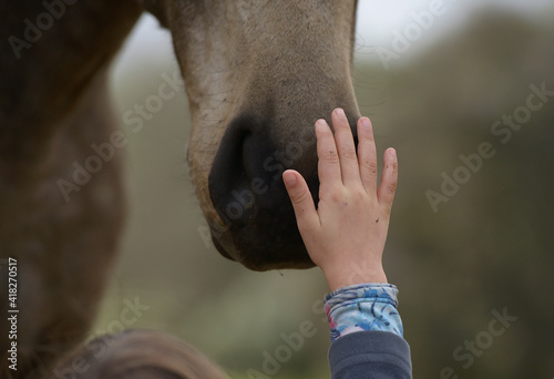  Caressing the nose of a horse © J.K.Ruiz