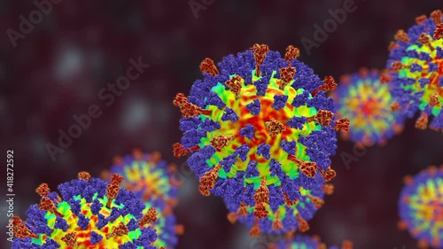 Measles virus. 3D animation showing measles viruses with surface glycoprotein spikes heamagglutinin-neuraminidase (blue) and fusion protein (red)