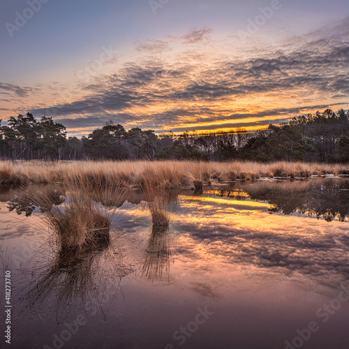 Sunrise on a heathland with dramatic clouds reflected in a pond, The Netherlands.